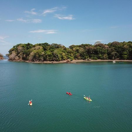The Resort At Isla Palenque Member Of The Cayuga Collection 博卡奇卡 外观 照片
