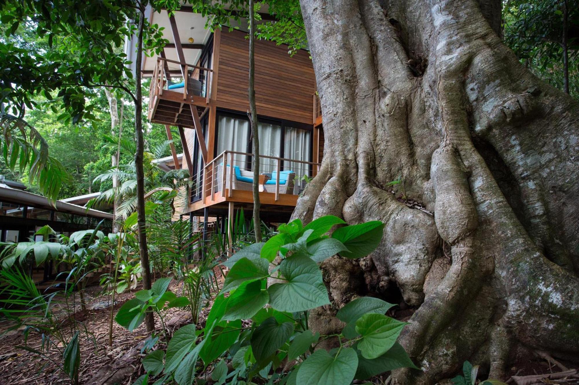The Resort At Isla Palenque Member Of The Cayuga Collection 博卡奇卡 外观 照片