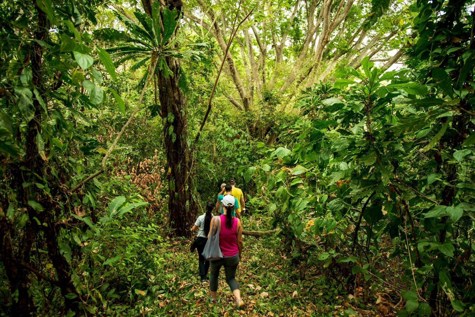 The Resort At Isla Palenque Member Of The Cayuga Collection 博卡奇卡 外观 照片